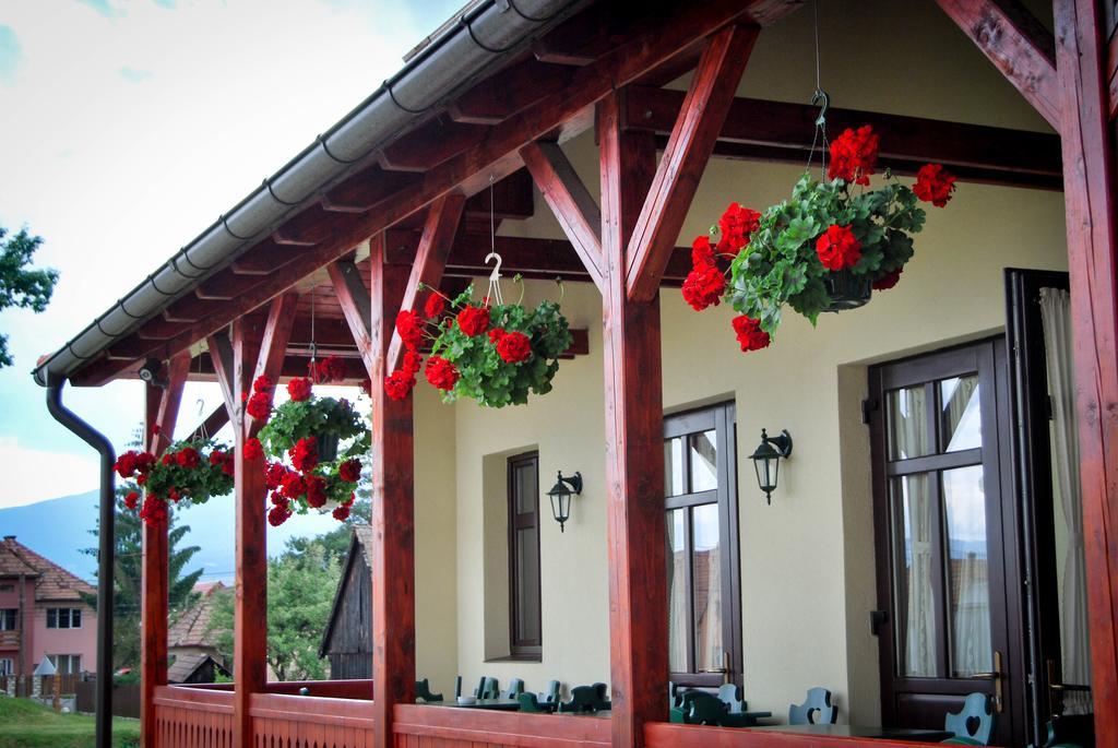 Amade Pension & Restaurant Siculeni Exterior photo