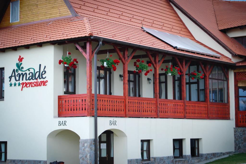Amade Pension & Restaurant Siculeni Exterior photo